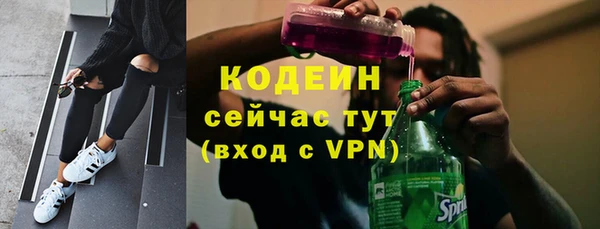 соль ск Волосово
