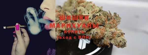 ГАЛЛЮЦИНОГЕННЫЕ ГРИБЫ Володарск