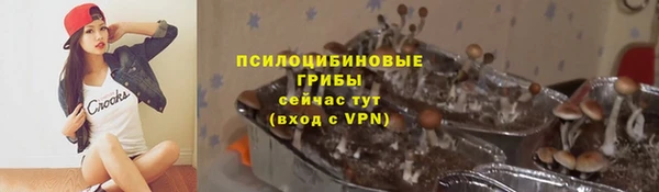 трава Верея