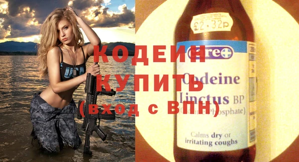 шишки Верхний Тагил