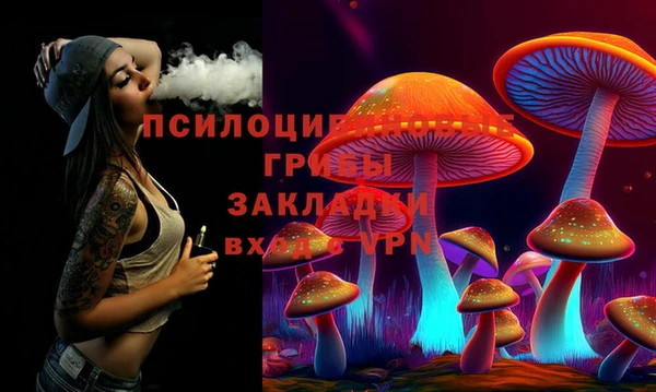 соль ск Волосово